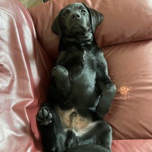 Meet your Posher, Kaden